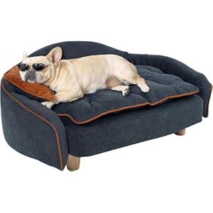 Canapé surélevé pour chien en bois noble avec position surélevée, coussin de couchage et tapis flexible pour chien – Un canapé élégant en bleu profond pour chats et chiens de petite à moyenne taille
