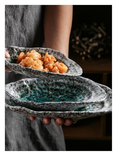 Assiettes de cuisine en céramique à surface émaillée durable - 4