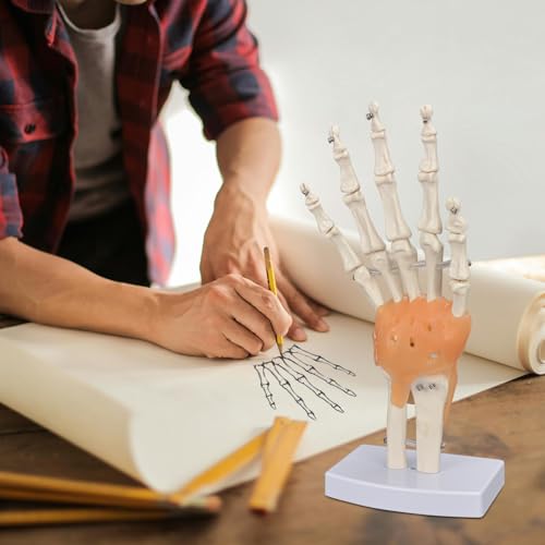 Image of Ultrassist Human Hand Skeleton Model with Ligaments, Flexible 1:1 Scientific Life Size with Lightweight Display Display Base, Includes Anatomy Diagram Best for Patient Education & Medical Training