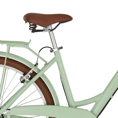 Bicicleta de trekking Alpina Dorothy de 6 velocidades para mujer con cambio suave y seguro 3