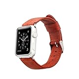 Jisoncase Apple Watchband edge folded(42mm)用ケースレッド JS-AW4-06A30