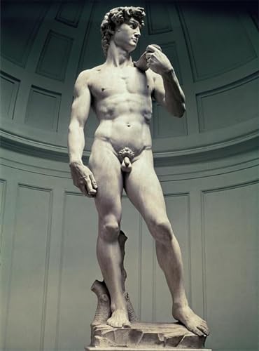 Lienzo moderno David Buonarroti ZHAOSHAN de 60x90cm: la solución para paredes vacías y aburridas