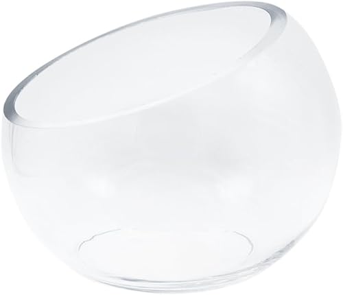 WGVI Jarrón de vidrio de corte inclinado, ancho 5.5 pulgadas, altura 4.5 pulgadas, terrario transparente, plato de dulces, tarro de frutas,