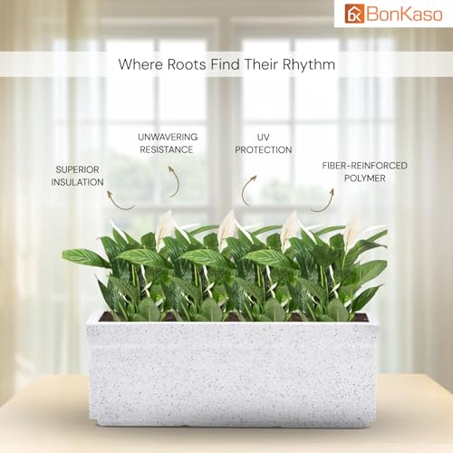 Product Variant View