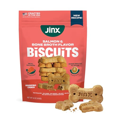 Jinx Oven-Baked Salmon Bone Broth Biscuit Dog Treats - Crunchy, All Natural, Superfood-Rich with High-Protein Salmon, Dog Biscuits for Puppies, Adults & Seniors - 16oz