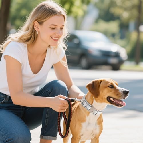 Poo4kark Reflektierende Hundehalsbänder Nylon, verstärkt, strapazierfähig, mit Schnellverschluss Metall, verstellbar für mittelgroße große Hunde (28–36 cm), 1 Stück (Grey, 28x2.5cm)