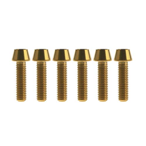 Ruifu �`�^�������o�C�N �e�[�p �w�b�h�{���g���]�Ԃ̃X�e�� M5x16�AM5x18�AM5x20mm 6���� (�S�[���h, M5x18mm)