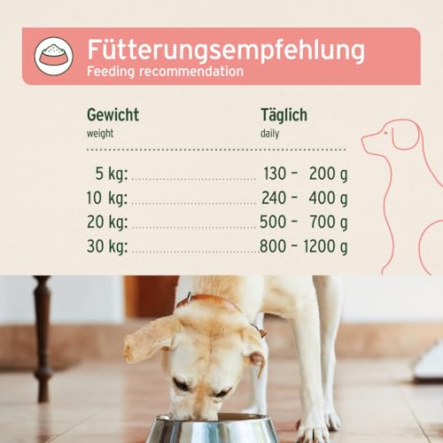 AniForte Barf Hundefutter Nass Rind Pur 6 x 400g – Fleisch Pur, Barffleisch für Hunde, Barffutter, Nassfutter getreidefrei & mit hohem Fleischanteil, Wet Dog Food Dosenfutter