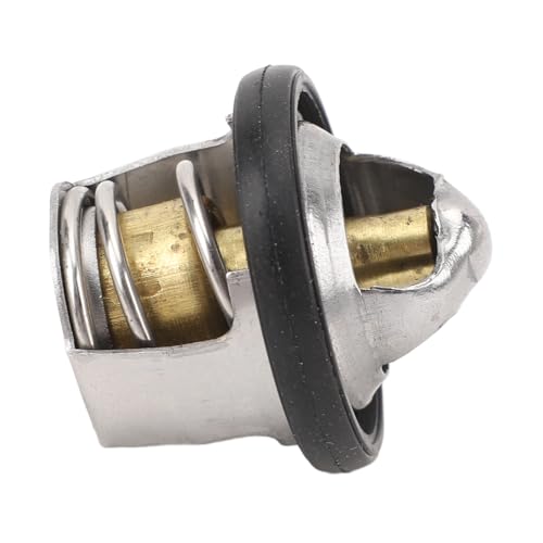 Termostato de OE, Long Lifespan Professional Dureza 17670-33401 Metal Aley ATV