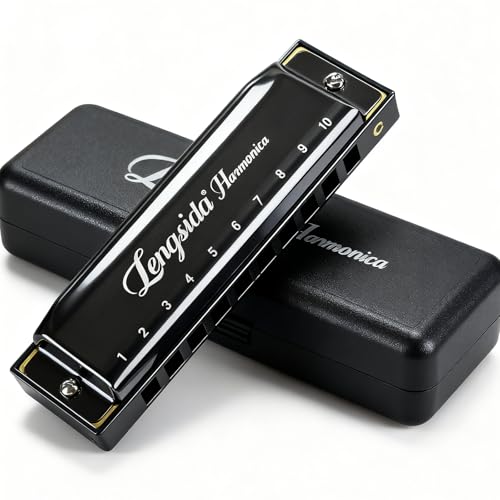 Armónica, LENGSIDA Harmonica, Llave Principal C, 10 Agujeros 20 Tonos, Acero Inoxidable Diatonic...