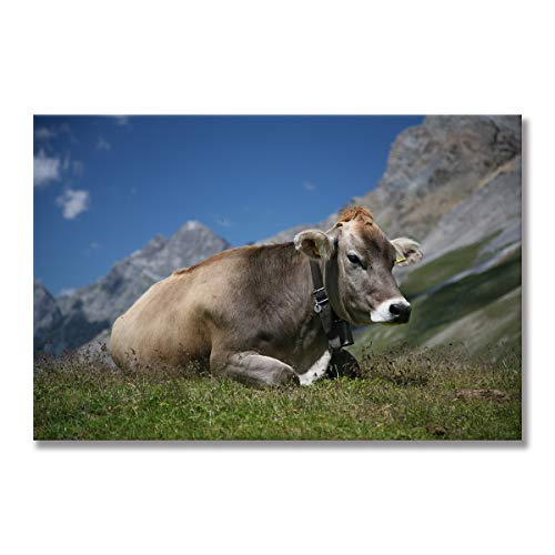 Affiche Vache des Highlands Five-Seller cadre 33.5x70cm salon