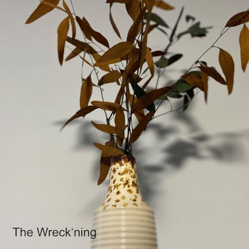 The Wreck&lsquo;ning Titelbild