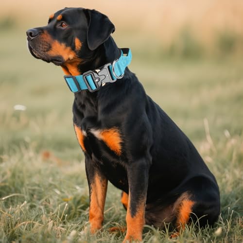 AKOFIC Taktisches Hundehalsband mit Griff, Breites Halsband Hund Gepolstert aus Nylon, Verstellbar Robuster Dog Collar mit Metallschnalle für Mittlere Große Hunde (Blau, L)