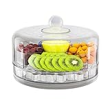 Bandeja refrigerada para servir – Plato de alimentos enfriados con hielo con tapa | Bandeja de buffet para aperitivos y ensaladas frías, servidor de exhibición de fiestas para alimentos frescos