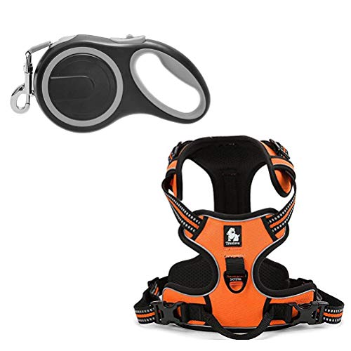 Best Dog Harness for Hiking a Safety Gear Hellow dog