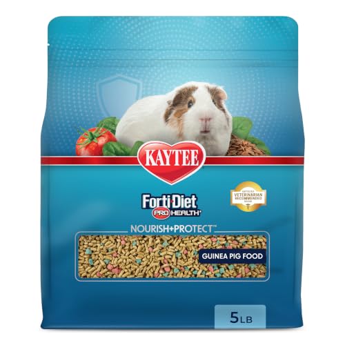 Kaytee Forti-Diet Pro Health Nourish+Protect Guinea Pig Food, 5 lb | Supports digestive health. Daily food for guinea pigs. Guinea pig pellets, prebiotics and probiotics, crunchy pieces - image 1