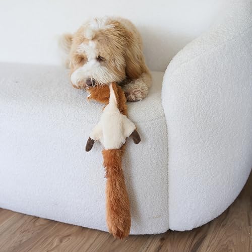 Skinneeez 470473 Hundespielzeug Eichhörnchen, 61 cm, braun