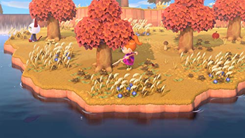Animal Crossing : New Horizons Switch - vue 7