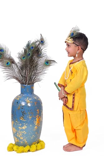 Image of Raj Fancy Dresses Radha and Krishna Brocade Fabric Janmashtami Mythological Character Costume
