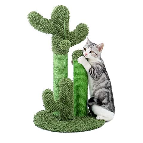 PAWZ Road Cactus Poste Rascador para Gatos Cover