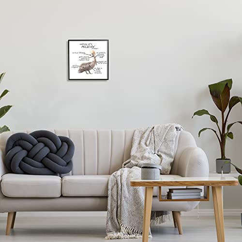 Image of Pelican Sea Bird Anatomy Diagram, 12 x 12 Inch Framed Giclee Print | Stupell Industries . By Dishique . Ready to hang . Educational coastal decor for kids rooms . Made in USA