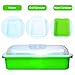 DTnature Seed Sprouter Wheatgrass Sprouting Tray BPA Free PP Sprouting Kit Big Capacity with Lid 13.4 x 9.84 x 4.2inch,Indoor Sprouter,Green