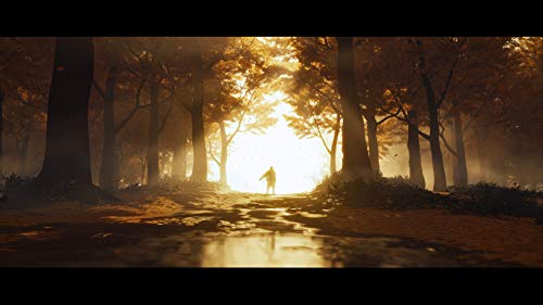 Ghost Of Tsushima Version Espagnole Multilingue - vue 4