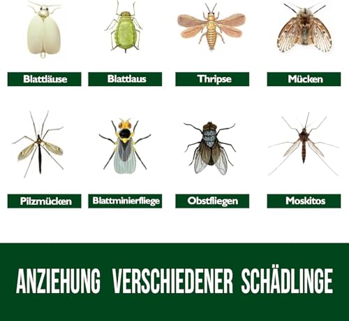 Garsum Fruit Fly Trap 18 Pcs Yellow Sticky Fungus Gnat Killer for Indoor and Outdoor Plant Insect Catcher for White Flies,Mosquitos,Fungus Gnats,Flying Insects