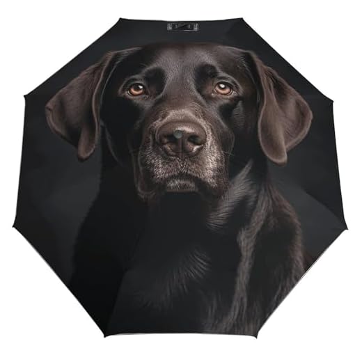 Best umbrella for walking your dog Windproof Travel Umbrella with Dog Design