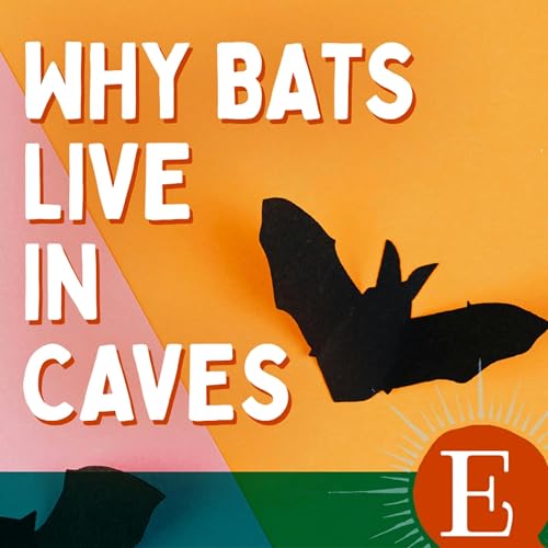 Couverture de Why Bats Live in Caves