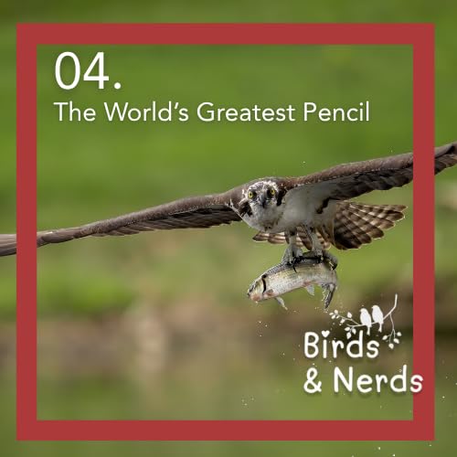 『Birds & Nerds | A pencil is just a pencil... unless it is a Blackwing』のカバーアート