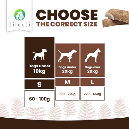 Dilecti Olive Wood Dog Chews, Natural Dense Hardwood Stick, Long-Lasting Dental Care Chew Toys with Antioxidants - Image 4