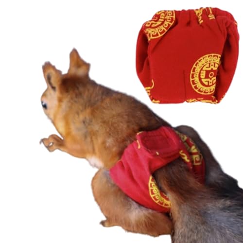 Image of Squirrel Diapers-Highly Absorbent with Strong & Flexible Hook and Loop Pants No Leak Reusable Diapers Urine Wet Pants for Squirrel,Fancy Rat,Groundhog (Red, M)