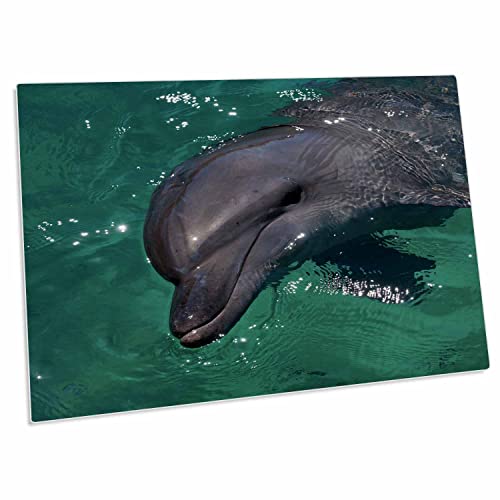 3dRose Dolphin en la Bahía de Honiara - Pad de Escritorio
