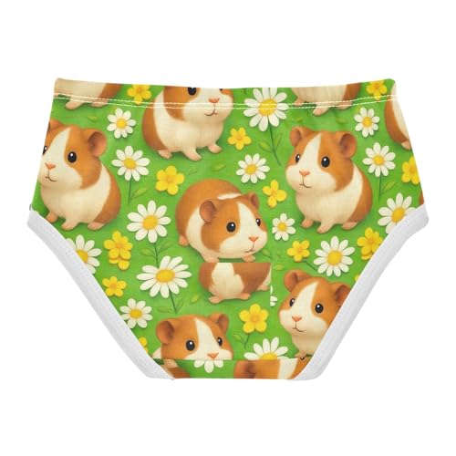 Joisal Fun Toddler Underwear Floral 2t Cotton Little Girl Panties Cute Brown Guinea Pigs Daisies Briefs Undies Kids2