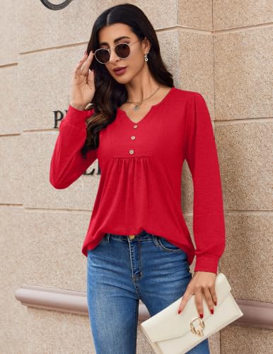 Image of Zeagoo Womens Long Sleeve Tops Fall V Neck Shirt Casual Pleated Tunic Top