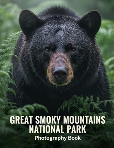 Great Smoky Mountains National Park Photography Book: Discover The Unseen Beauty Of America's Favorite National Park