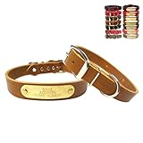 Warner Brand Cumberland Leather Dog Collar Free Engraved Brass ID tag (19" Fits 15-17" Neck, Golden