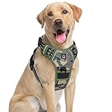 Fácil de poner y arnés ajustable - las correas ajustables en cuatro direcciones brindan un ajuste cómodo pero no interfieren con la movilidad de su perro mientras hace ejercicio. También puede ofrecer un ajuste ideal con espacio de crecimiento adicional y sin preocupaciones por resbalones o asfixia. Hacer que el pecho y el cuello de nuestro perro estén libres de toda presión y que no odie llevar arnés.