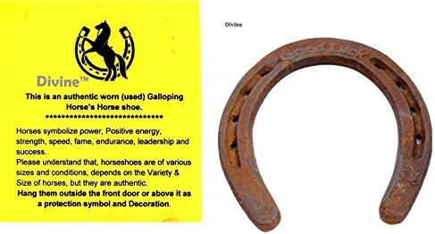 Divine Authentic Certified Used Horseshoe - Good Luck Charm - Rustic - Lucky Gift