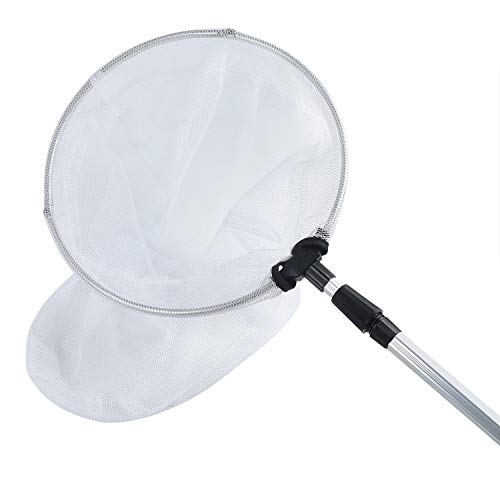SAYAYA Telescopic Butterfly Net Fishing Nets Insect Net with 12 Inch Ring, Handle Extends to 36 Inch