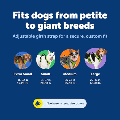 Image of PetSafe EasySport Dog Harness, Adjustable Padded Dog Harness with Control Handle and Reflective Piping, from the Makers of the Easy Walk Harness