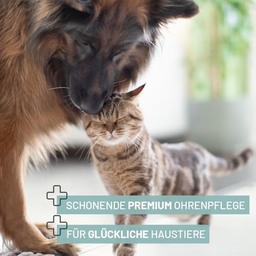 ReaVET Ohrenpflege Finger-Pads für Hunde & Katzen 50 Stück – Sanfte Ohrreinigung I Ohrpflege Reinigungspads Fingerpads für die Ohrenhygiene, sanfter Ohrenreiniger zur Pflege & Reinigung