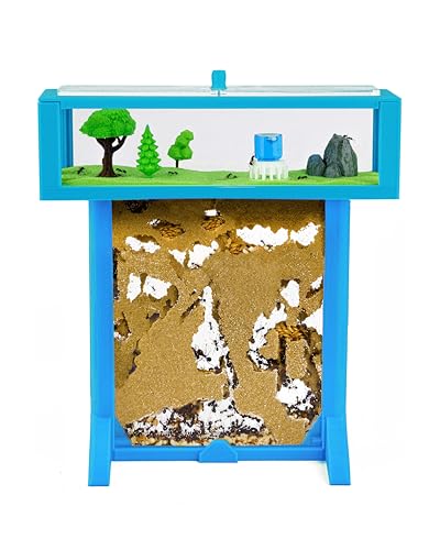 Anthouse.es - Kit Hormiguero Acrílico de Arena en Forma de T 3D - Sándwich y Caja de Forrajeo - Hormiguero con Hormigas Vivas Incluidas (Reina, Obreras, Huevos y Larvas) - Color Azul