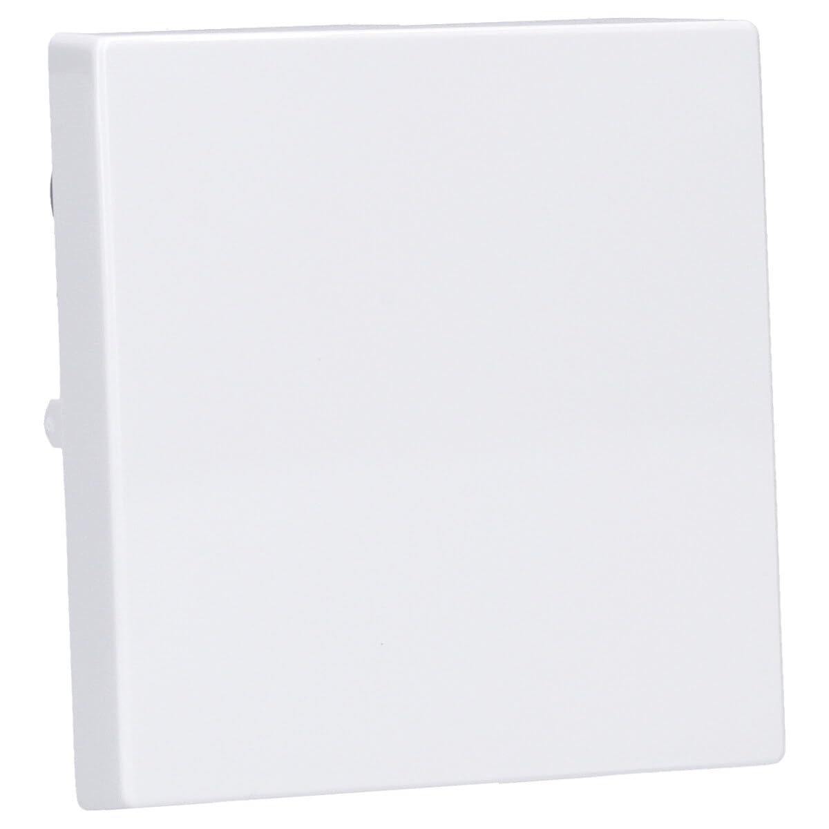 Busch-Jaeger 1786-84 Wippe Studioweiß future® linear 2CKA001751A2749