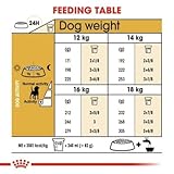 Royal Canin Beagle Trockenfutter für erwachsene Hunde, 12 kg