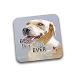 Rib Ticklerz - Personalised Photo Coaster From The Dog - Best Dog Dad Ever - Custom Gifts Dog Dad Present - Birthday - Christmas - DC78
