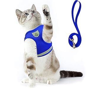 Imbracatura e Guinzaglio Riflettente per Gatti e Cani di Taglia Piccola - Gilet Morbido in Nylon per Passeggiate e Sport
 - immagine 13