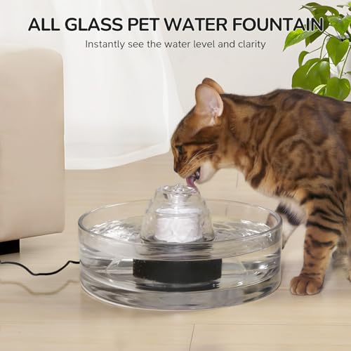 Image of 2.7L Glass Pet Fountain -Transparent Glass Cat Water Fountain & Little Dog Drinking Bowl- Automatic Cat Water Dispenser-Ultra-Quiet Pump 1 Filters & 1 Sponges