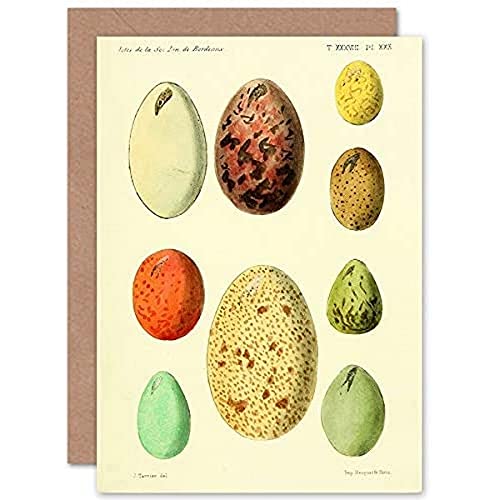 French Eggs Vintage Illustration Greeting Card With Envelope Inside Premium Quality